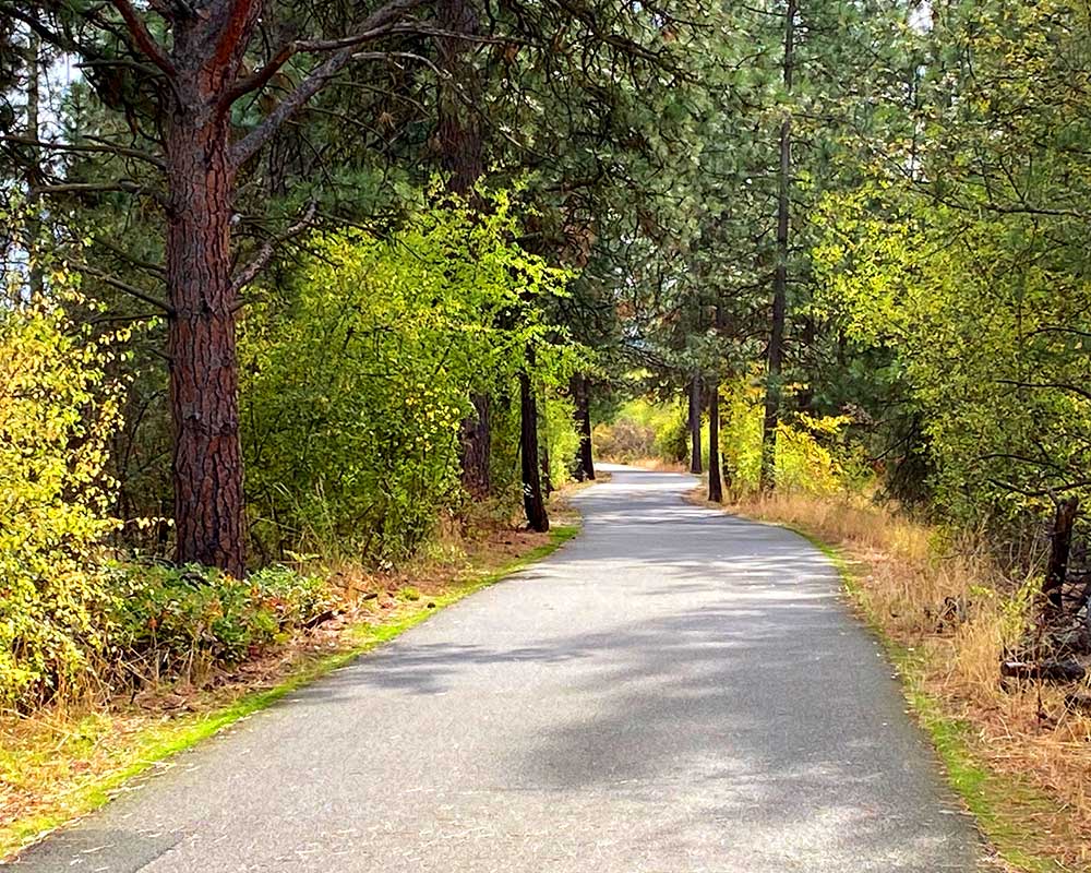 Friends-Of-The-Centenial-Trail-Spokane-AboutPhoto4 The trail winding through the woods