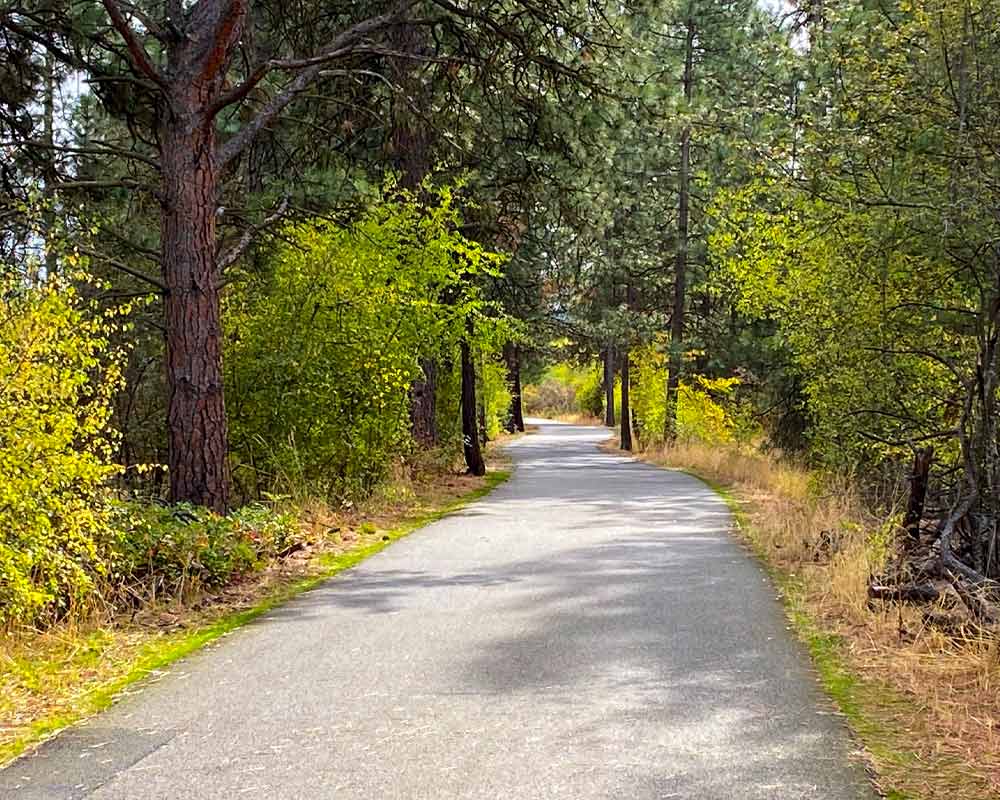 Friends-Of-The-Centenial-Trail-Spokane-AboutPhoto4 paved trail winding through the woods in spokane